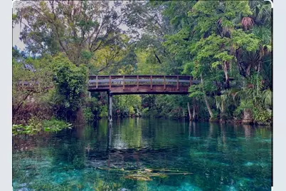 3100 NE 104th Terrace, Silver Springs, FL 34488 - Photo 75