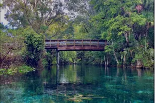 3100 NE 104th Terrace, Silver Springs, FL 34488 - Photo 75