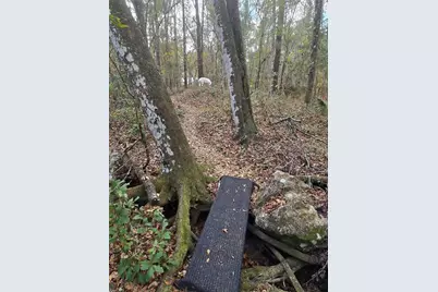 25344 Croom Road, Brooksville, FL 34601 - Photo 33