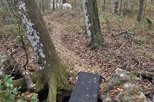 25344 Croom Rd, Brooksville, FL 34601 - Photo 33