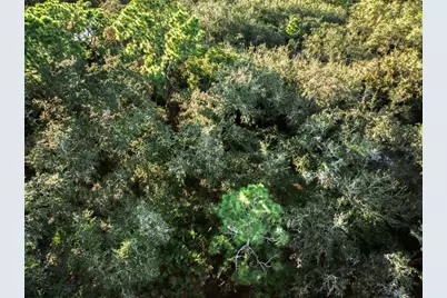 5617 Longbow Drive, Sebring, FL 33876 - Photo 9