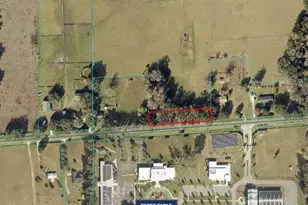 9625 W Hwy 318, Reddick, FL 32686 - Photo 1