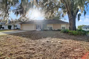 1004 Lantana Dr, Eustis, FL 32726 - Photo 13