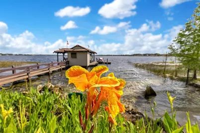 10577 Down Lakeview Circle, Windermere, FL 34786 - Photo 89