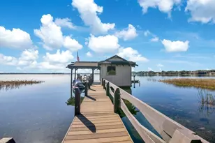 10577 Down Lakeview Cir, Windermere, FL 34786 - Photo 85