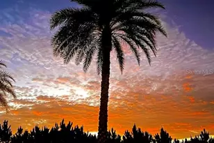 2253 St George Dr, Davenport, FL 33837 - Photo 53