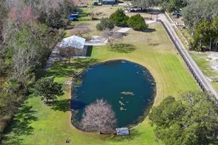 323 McLain Ln, Geneva, FL 32732 - Photo 61