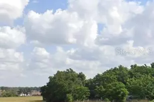 10708 Davis Pool Rd, Seffner, FL 33584 - Photo 1