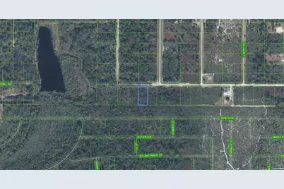 2713 W Little Road, Avon Park, FL 33825 - Photo 3