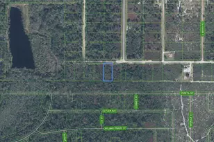 2713 W Little Rd, Avon Park, FL 33825 - Photo 3