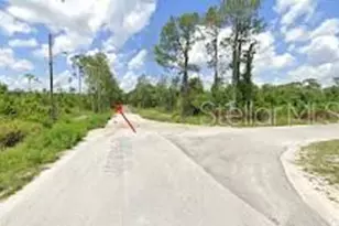 2713 W Little Rd, Avon Park, FL 33825 - Photo 1