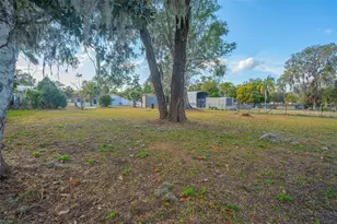 421 Pleasant St, Lake Helen, FL 32744 - Photo 35