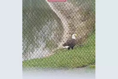 337 Bella Rosa Circle, Sanford, FL 32771 - Photo 21