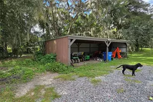 2002 Pine Ct, Deland, FL 32720 - Photo 3