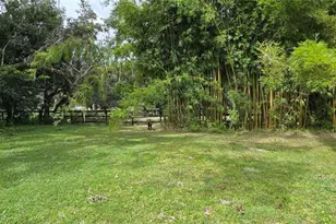 2002 Pine Ct, Deland, FL 32720 - Photo 53