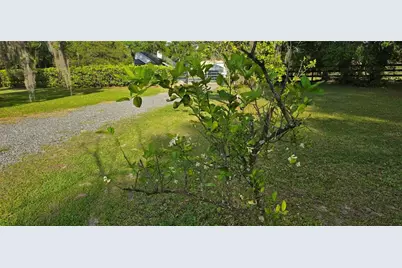 2002 Pine Court, Deland, FL 32720 - Photo 49