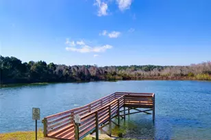 2218 Orangewood Cir, Zellwood, FL 32798 - Photo 37