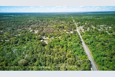 Harrison Rd, Mims, FL 32754 - Photo 3