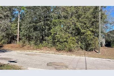 2559 W Castle Road, Citrus Springs, FL 34434 - Photo 3