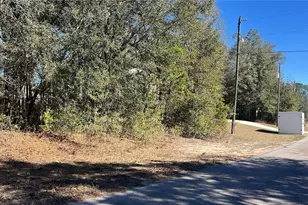 2559 W Castle Rd, Citrus Springs, FL 34434 - Photo 1