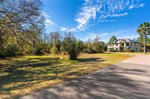 3652 Oriskany Dr, Orlando, FL 32820 - Photo 79