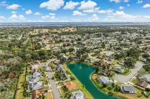 343 Aleatha Dr, Daytona Beach, FL 32114 - Photo 47