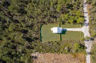 765 6th Ave, Osteen, FL 32764 - Photo 9