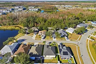 3250 Helmel Ct, Land O Lakes, FL 34638 - Photo 49