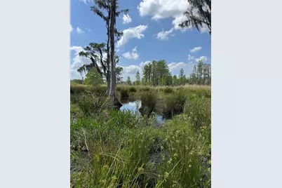 8335 Florida Boys Ranch Road, Groveland, FL 34736 - Photo 9