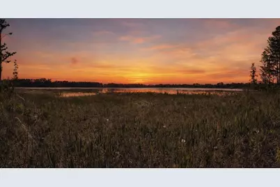 8335 Florida Boys Ranch Road, Groveland, FL 34736 - Photo 1