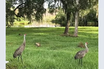 1423 N Lagoon Point, Inverness, FL 34453 - Photo 71