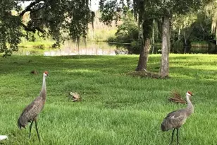 1423 N Lagoon Point, Inverness, FL 34453 - Photo 71