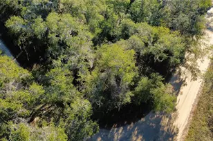 110 Leeward Rd, Satsuma, FL 32189 - Photo 1