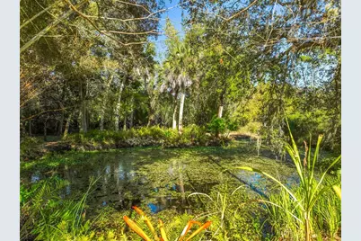 1825 Pams Way, Geneva, FL 32732 - Photo 51