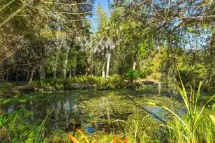 1825 Pams Way, Geneva, FL 32732 - Photo 51