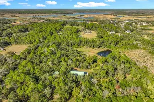 1825 Pams Way, Geneva, FL 32732 - Photo 57