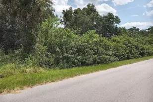 12480 Hollow Ave, Port Charlotte, FL 33953 - Photo 1