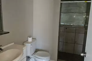 6729 Ovid Ave, Orlando, FL 32809 - Photo 37