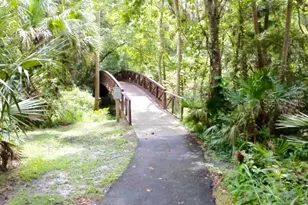 209 Sweet Gum Way, Longwood, FL 32779 - Photo 91