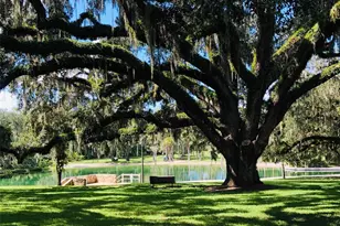 209 Sweet Gum Way, Longwood, FL 32779 - Photo 71