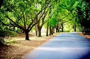 209 Sweet Gum Way, Longwood, FL 32779 - Photo 87