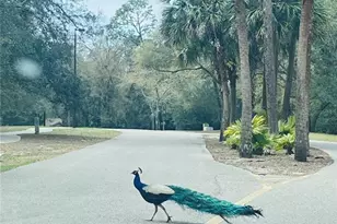 209 Sweet Gum Way, Longwood, FL 32779 - Photo 89