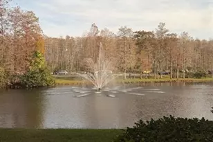 13584 Turtle Marsh Loop, Orlando, FL 32837 - Photo 3