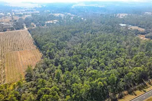 E Colonial Dr, Christmas, FL 32709 - Photo 5