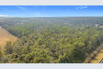 E Colonial Drive, Christmas, FL 32709 - Photo 9