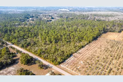 E Colonial Drive, Christmas, FL 32709 - Photo 13