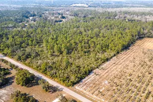 E Colonial Dr, Christmas, FL 32709 - Photo 13