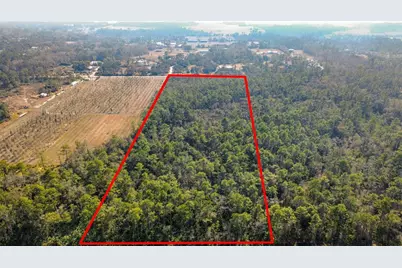 E Colonial Drive, Christmas, FL 32709 - Photo 11