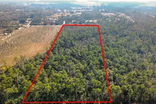 E Colonial Dr, Christmas, FL 32709 - Photo 11