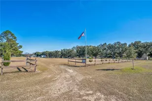 13900 Gadson St, Groveland, FL 34736 - Photo 49